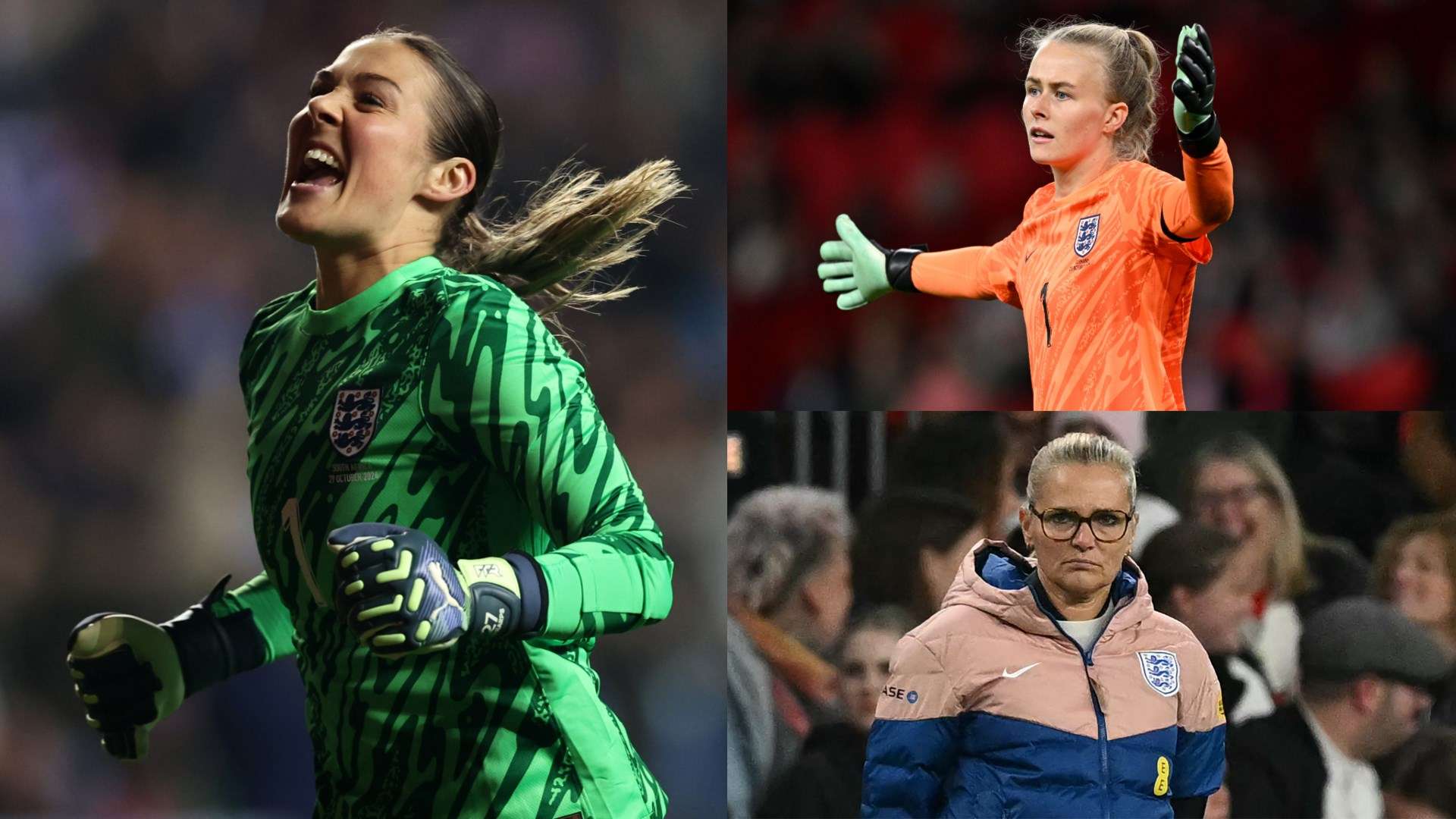 充分印证了 充分印证了